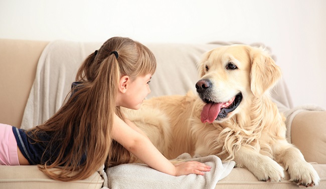 Therapy dogs help children with anxiety disorders & autism